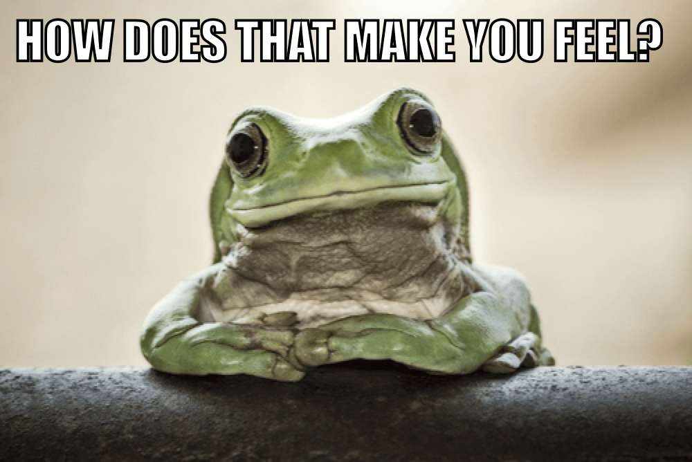 Feelings: What’s the Point??